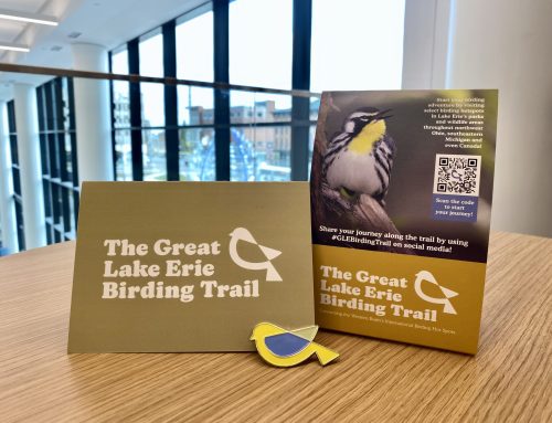 Marketing Material for 419 Ale Trail and The Great Lake Erie Birding Trail